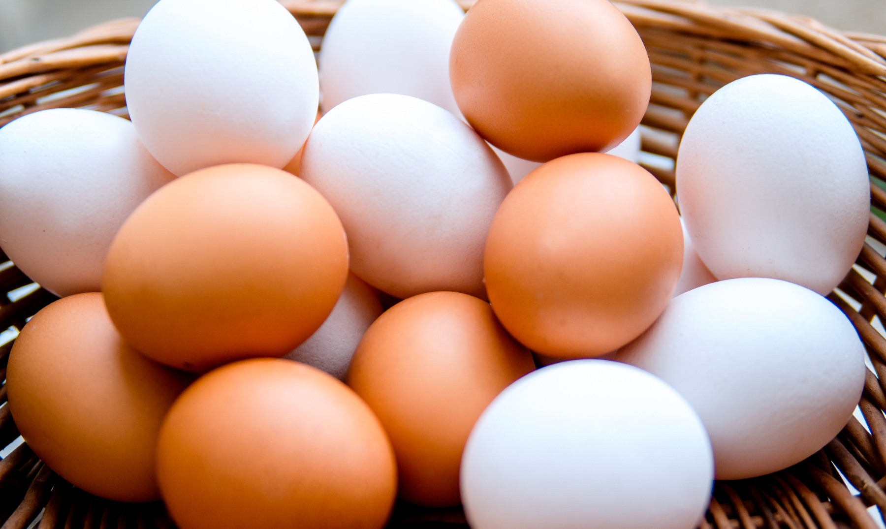 10 Curiosidades do Ovo |  Um alimento rico em proteínas e nutrientes