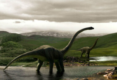 De que cor eram os dinossauros?