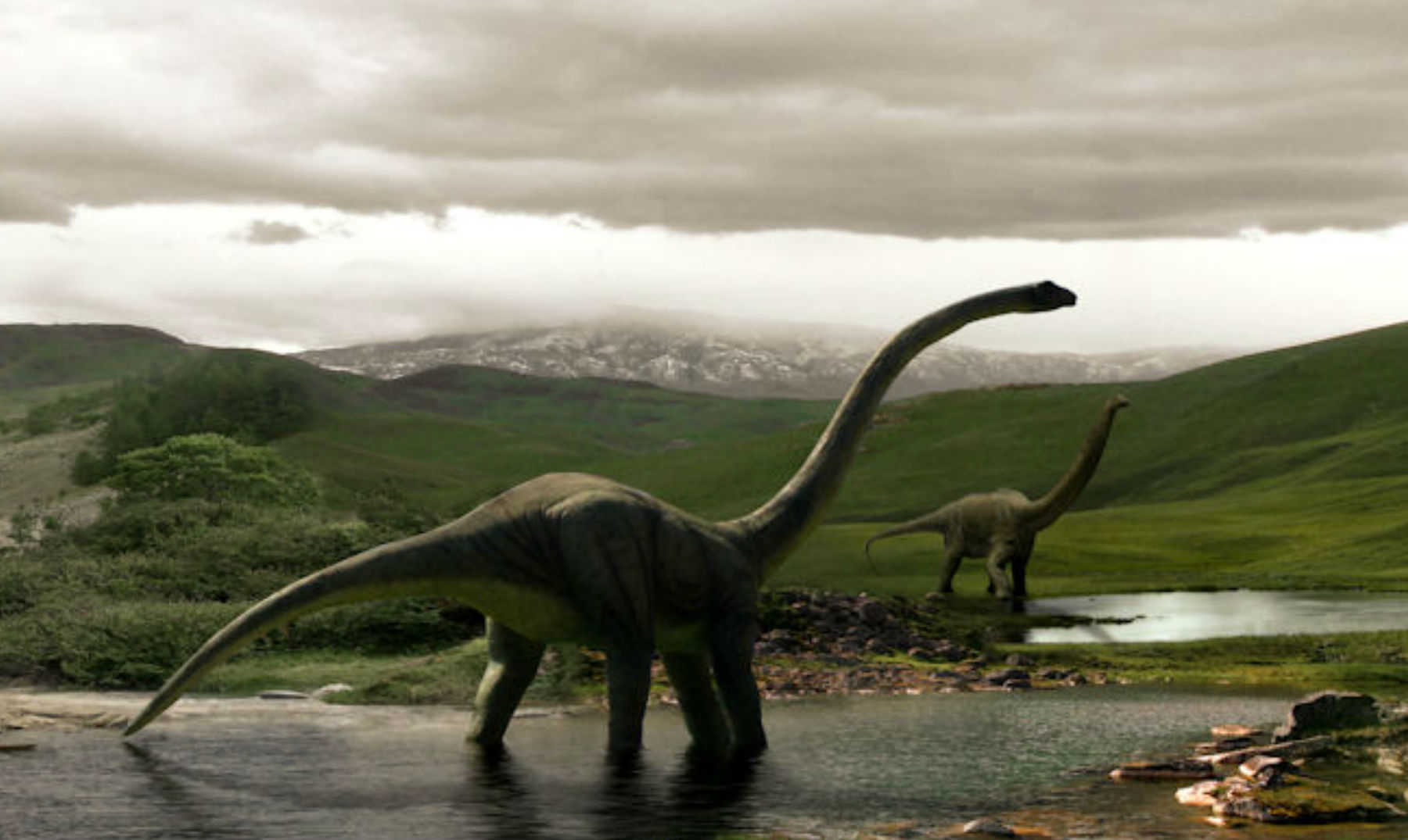 De que cor eram os dinossauros?
