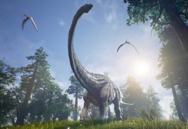 Os pássaros são dinossauros
