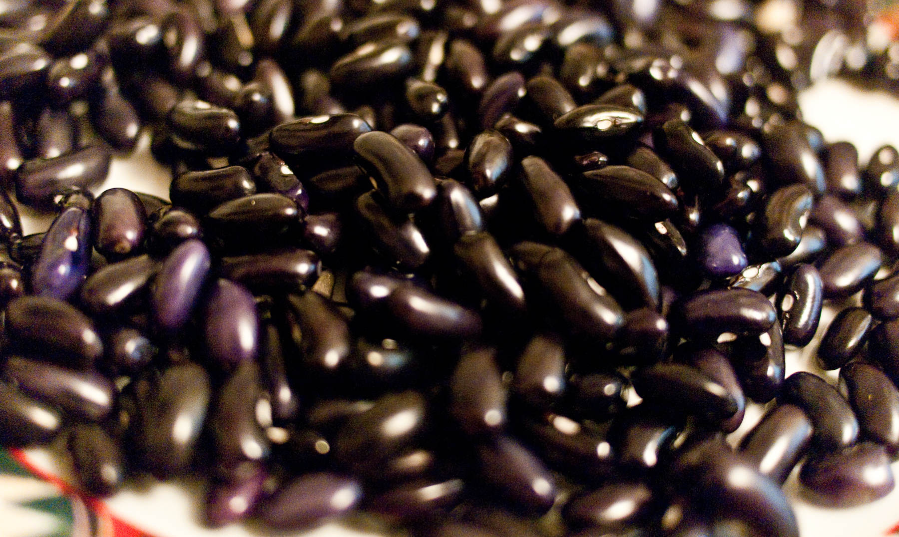 10 benefícios do feijão preto |  Leguminosas que substituem a carne
