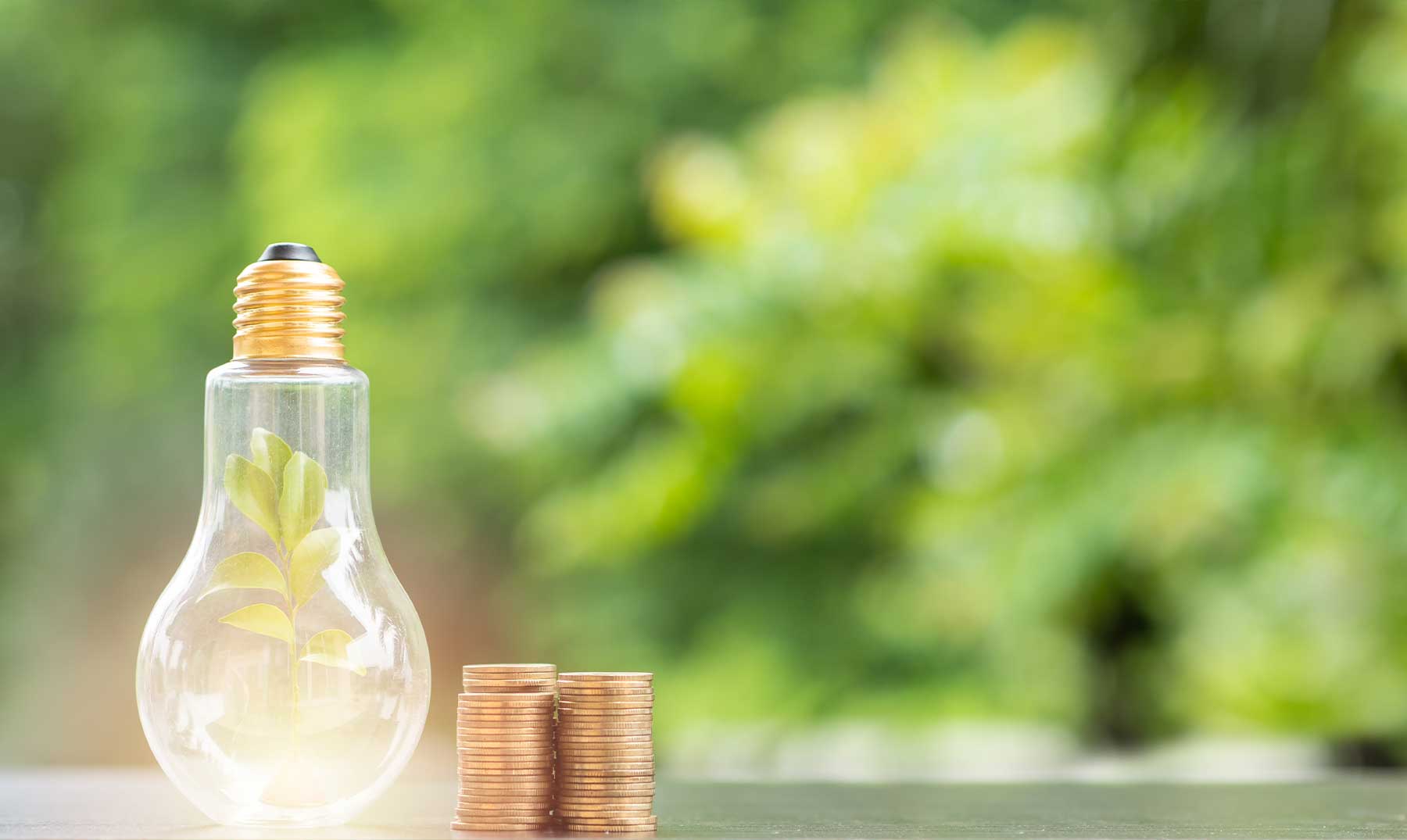 Como economizar luz?  |  8 dicas úteis para economizar energia