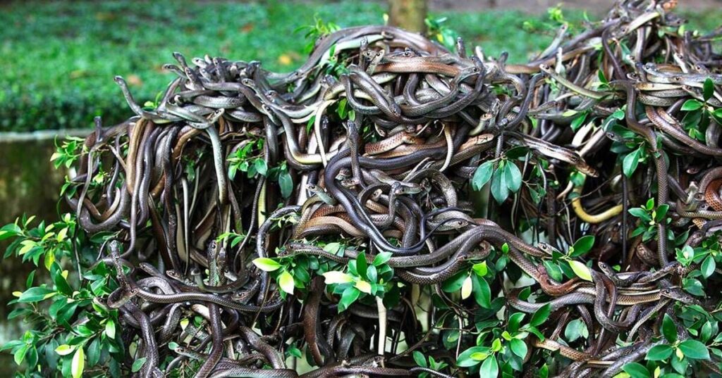 Lugares proibidos
