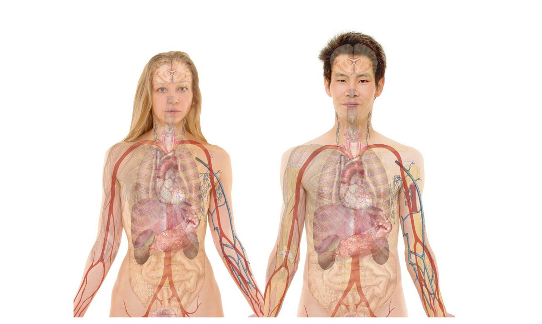 O que é situs inverso?  |  Quando os órgãos estão de cabeça para baixo