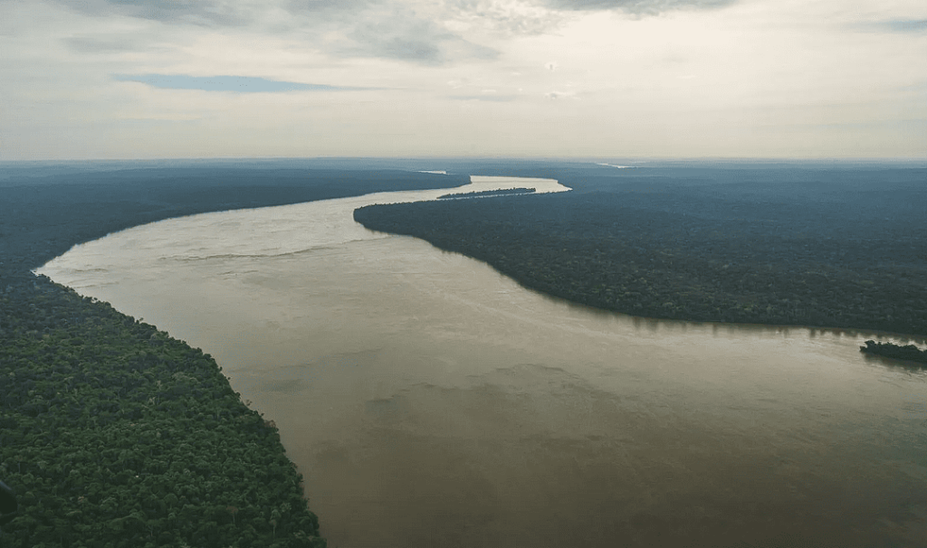 20 Curiosities About Brazil You Can't Die Without Knowing 2 Curiosities About Brazil