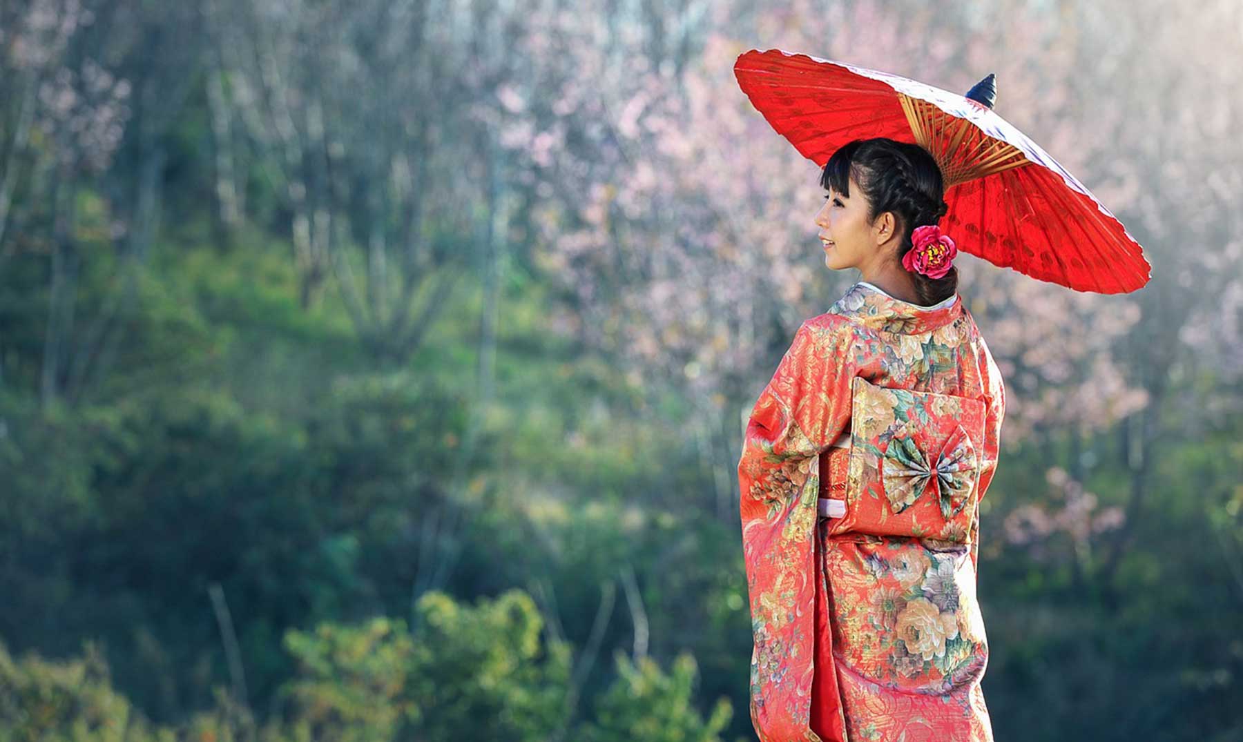 12 curiosidades da cultura japonesa