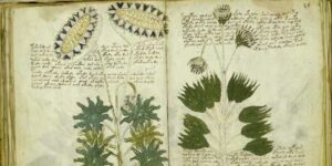 O Manuscrito Voynich