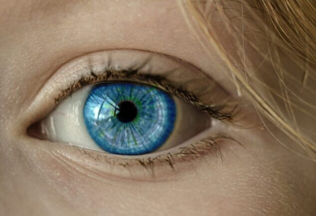 Olhos azuis existem 1