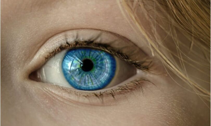 Olhos azuis existem 1