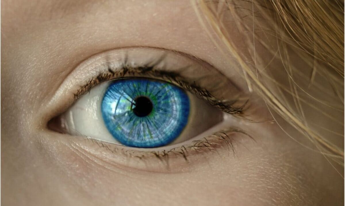 Olhos azuis existem 1
